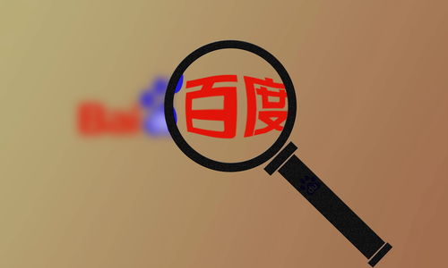 百度蜘蛛池购买网站